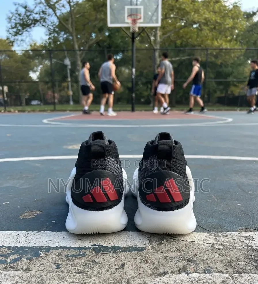 Adidas Ea1 Basketball Shoes