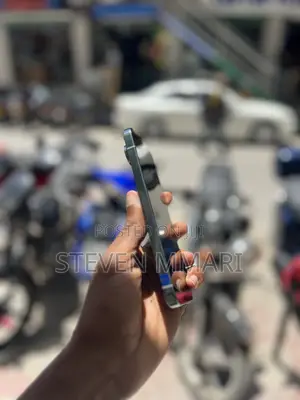 Google Pixel 9 Pro XL 256 GB Gray
