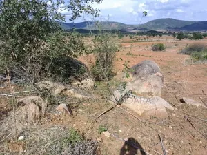 Gold Exploration / Jv Opportunity – Tanzania