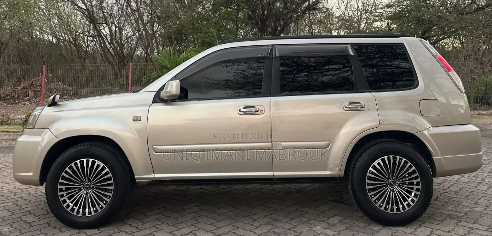 Nissan X-Trail 2005 Beige