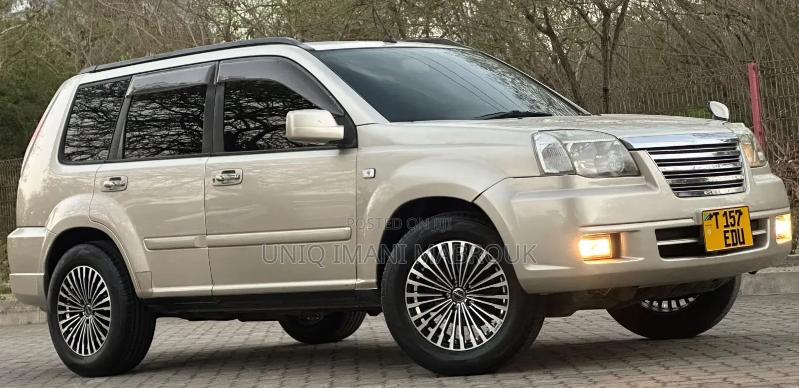 Nissan X-Trail 2005 Beige