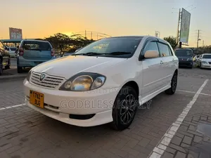 Toyota Allex 2003 White