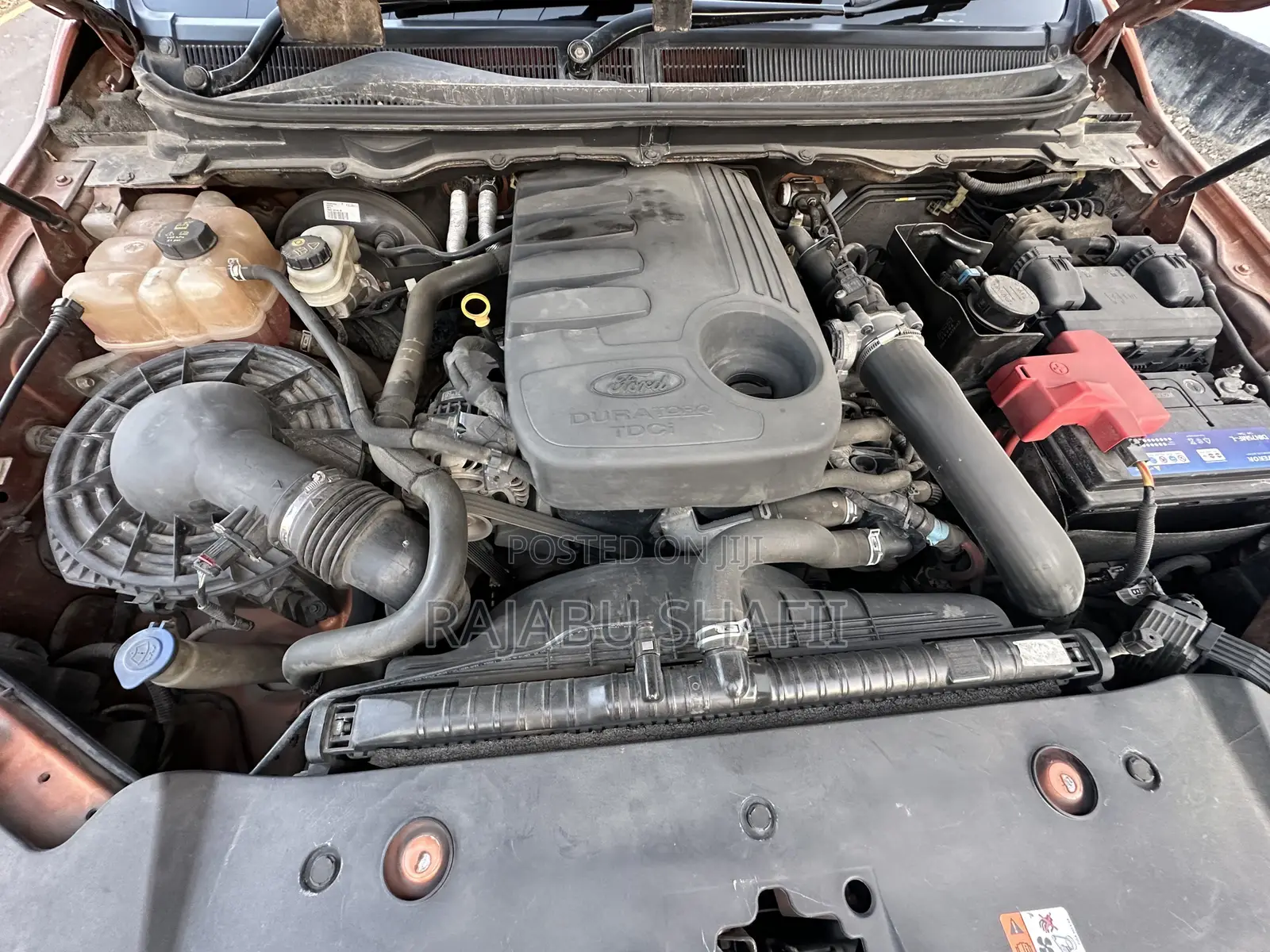 Ford Ranger Wildtrak 2019 Orange
