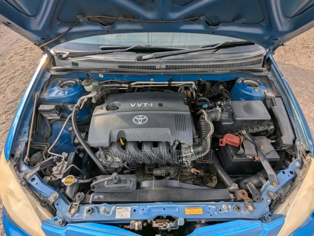 Toyota Corolla RunX 2005 Blue