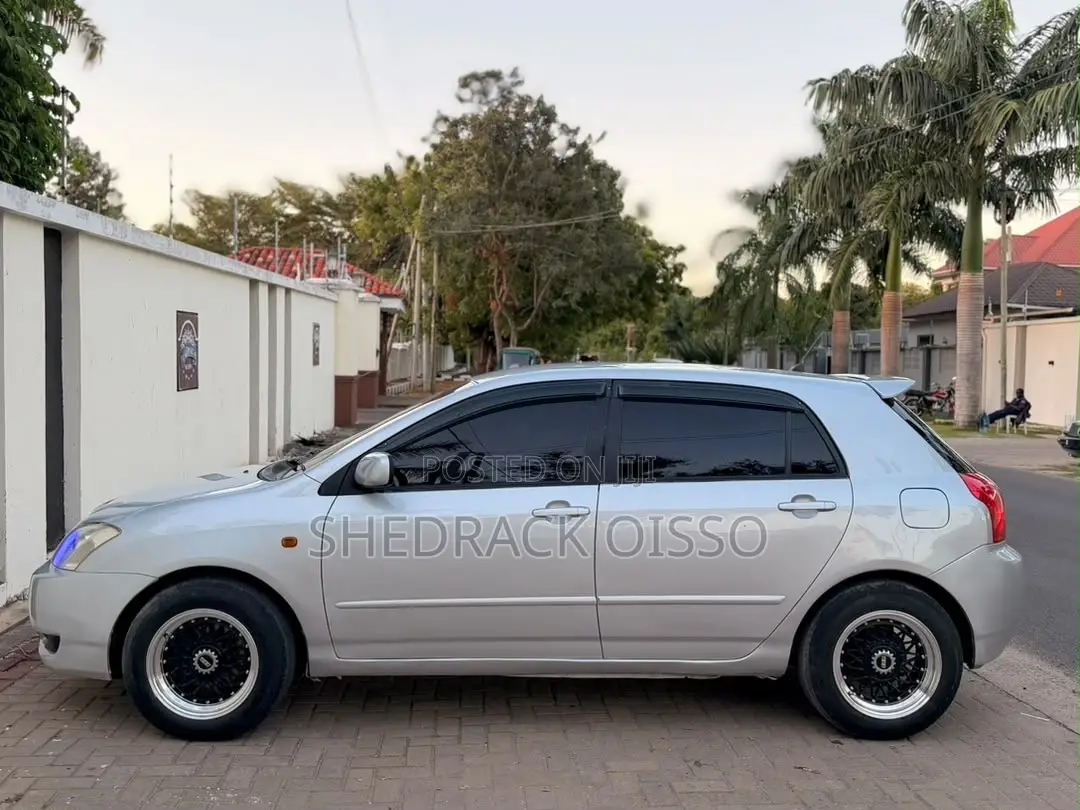 Toyota Corolla RunX 2005 Silver