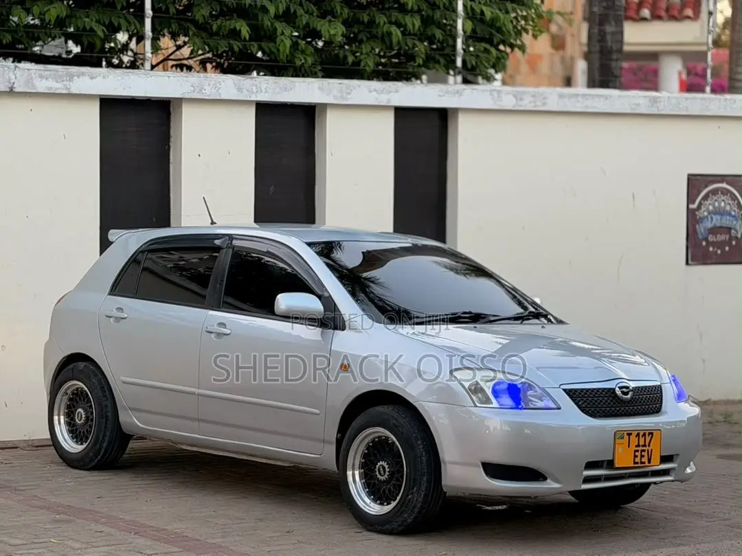 Toyota Corolla RunX 2005 Silver