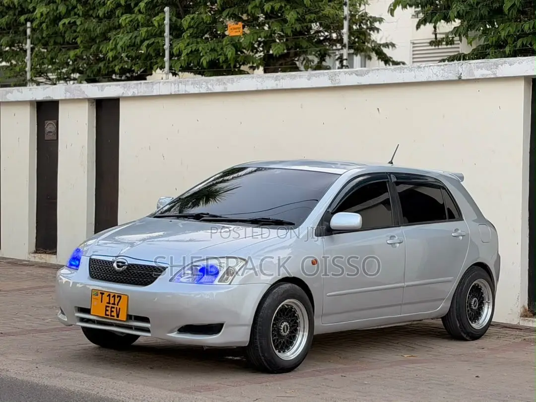 Toyota Corolla RunX 2005 Silver