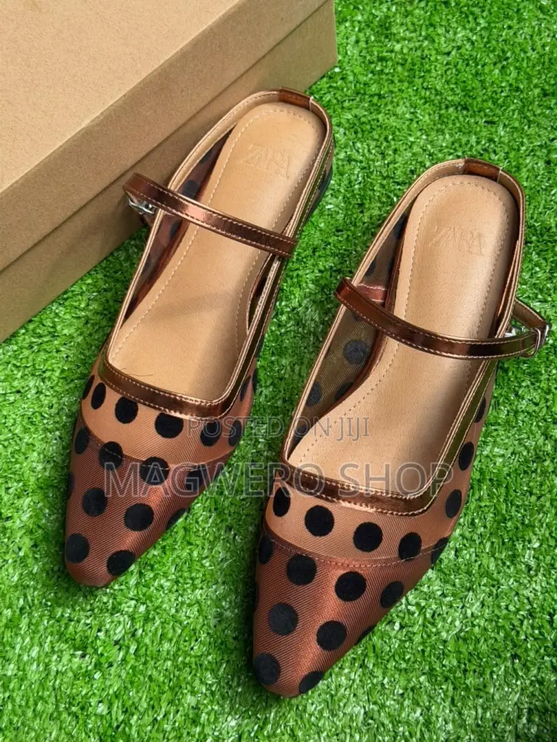 Zara Shous