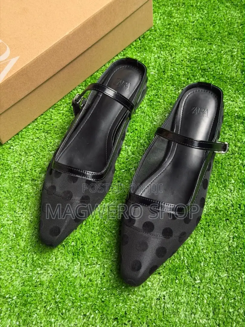 Zara Shous