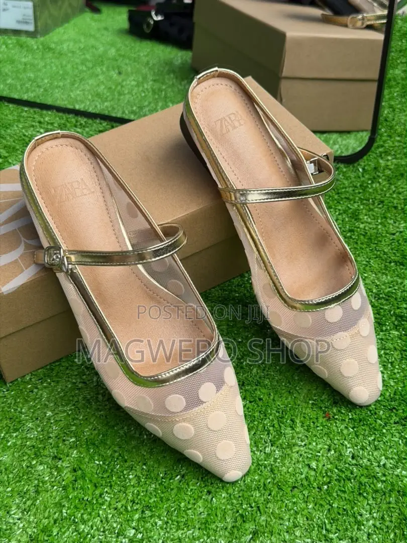 Zara Shous