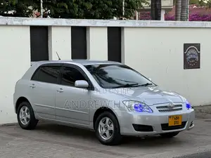 Toyota Allex 2005 Silver