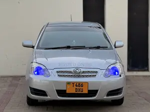 Toyota Allex 2005 Silver