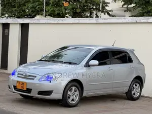 Toyota Allex 2005 Silver