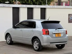 Toyota Allex 2005 Silver