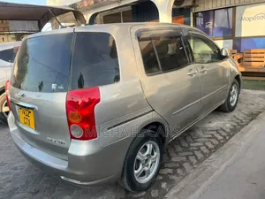 Toyota Raum 2005 Gray