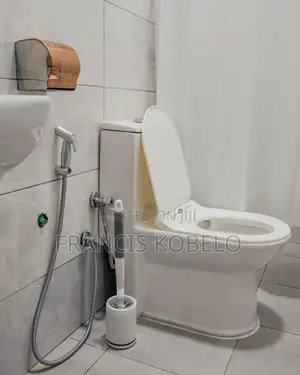Furnished 1bdrm Apartment in Kijitonyama for rent