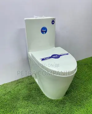 Toilet Sinks