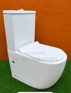 Toilet Sinks