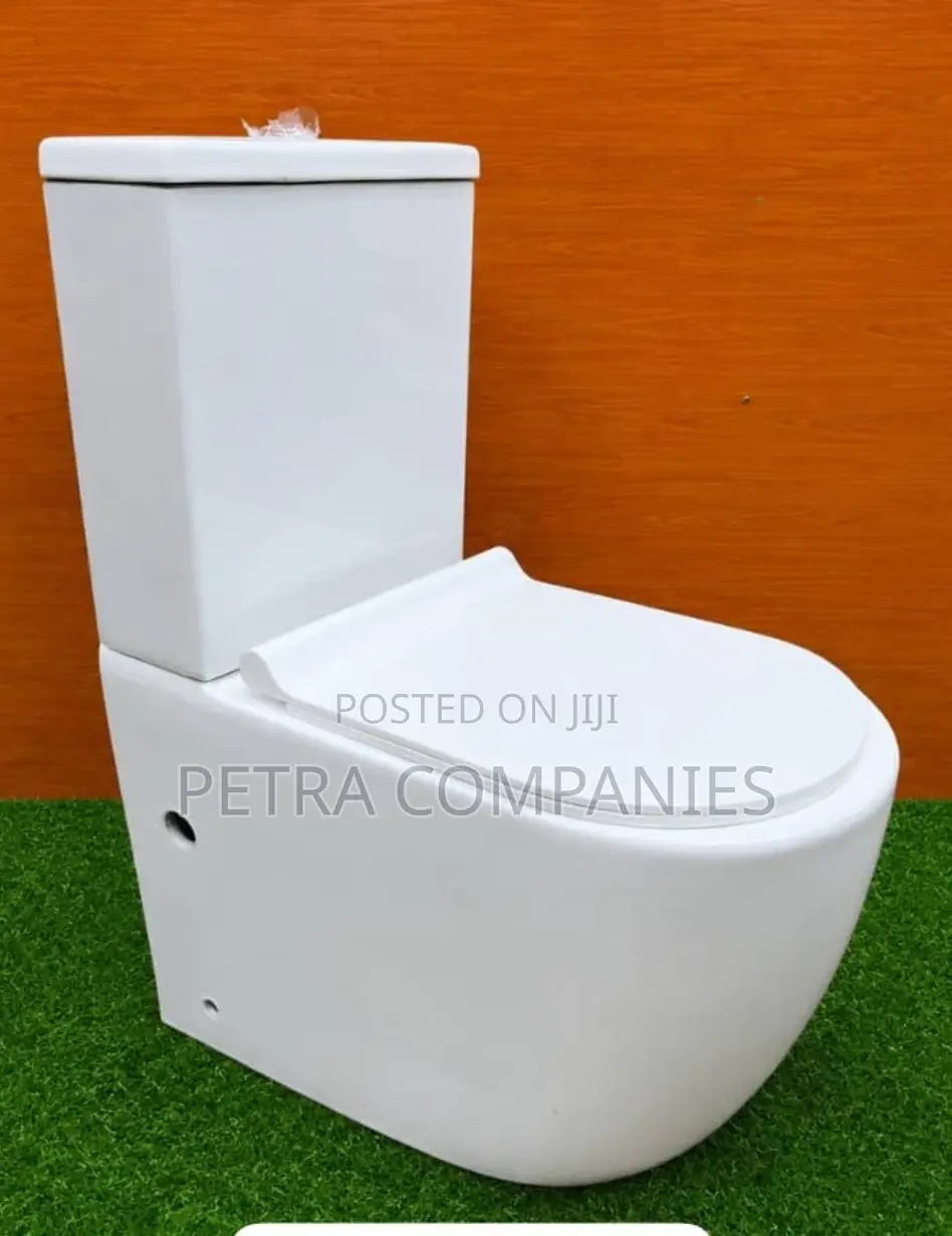 Toilet Sinks