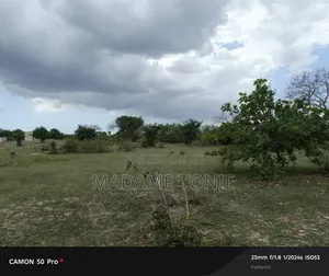 Jipatie Kiwanja Kilicho Pimwa Bunju A