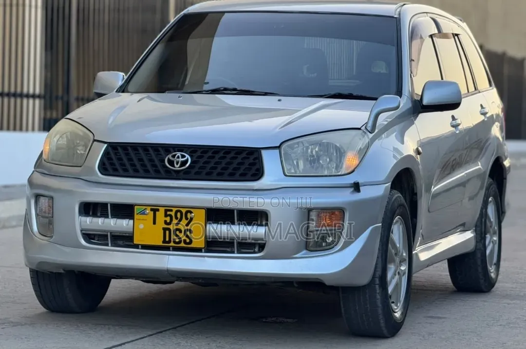 Toyota RAV4 2004 Silver