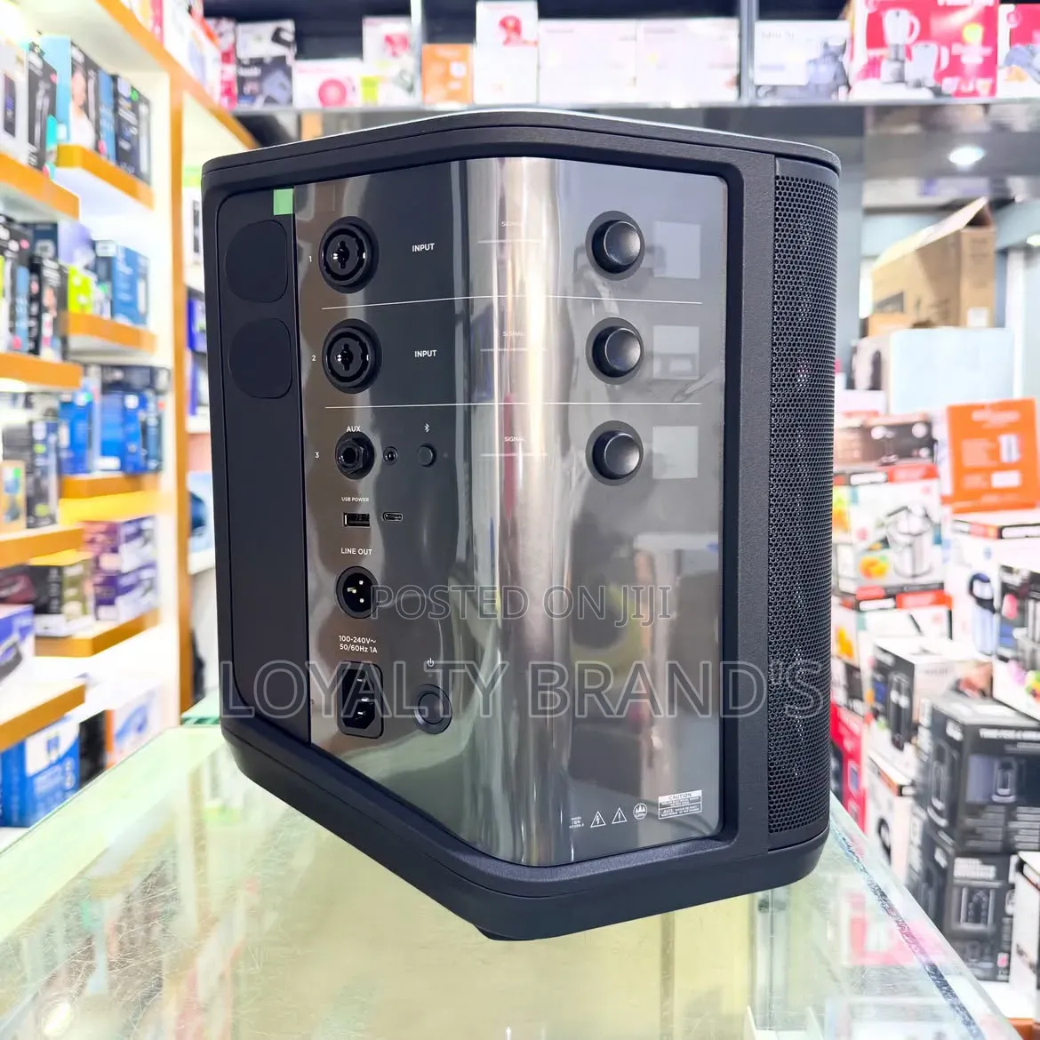 Bose S1 Pro + Wireless Pa System