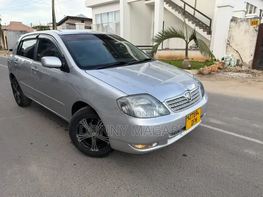 Toyota Allex 2003 Silver