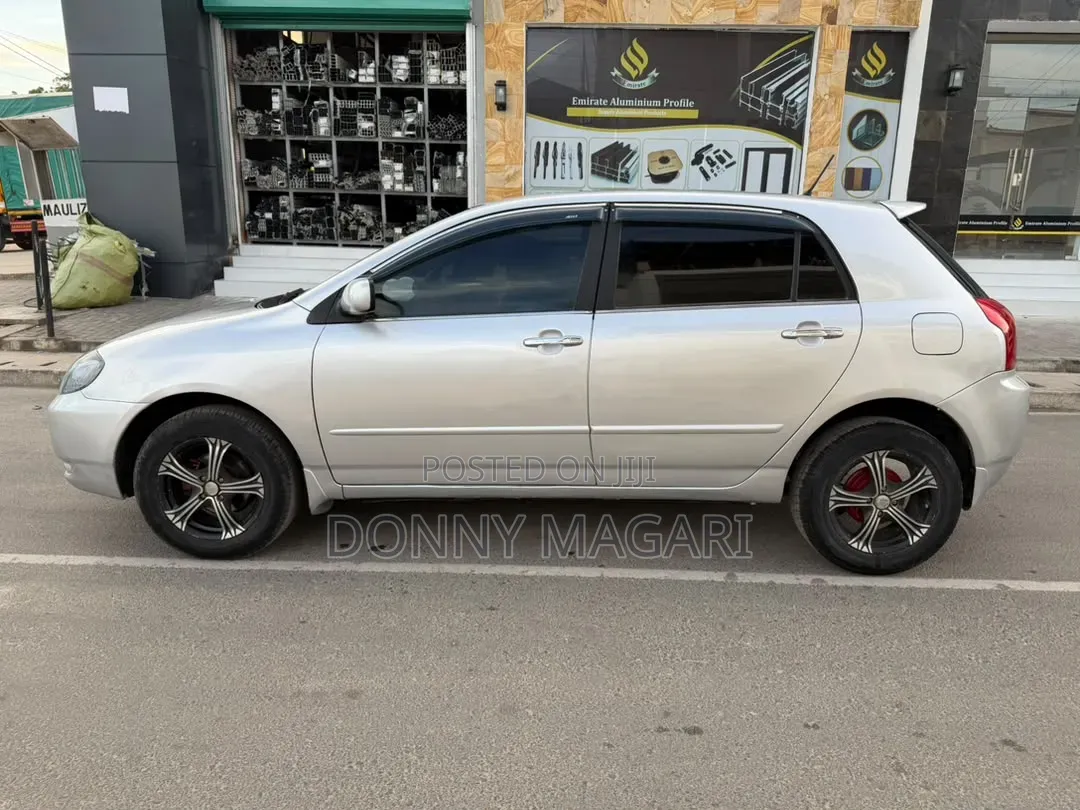 Toyota Allex 2003 Silver