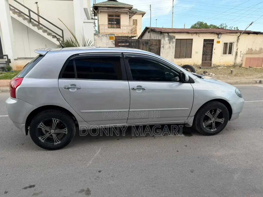 Toyota Allex 2003 Silver