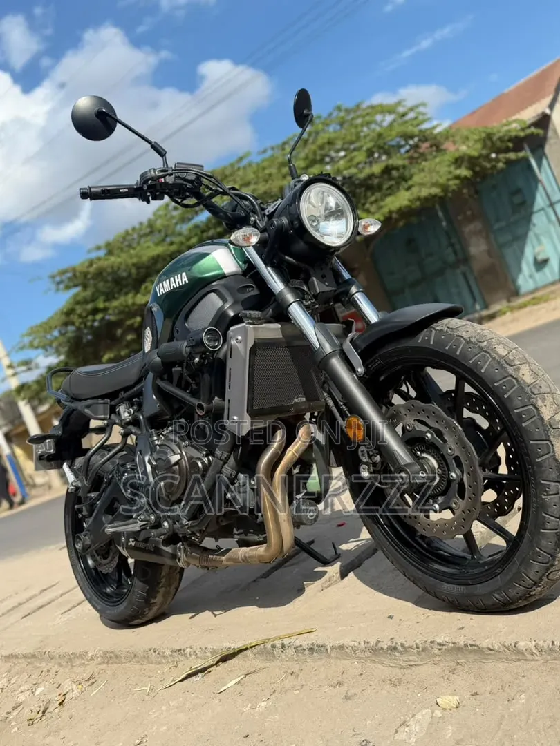 Yamaha XSR700 2018 Green