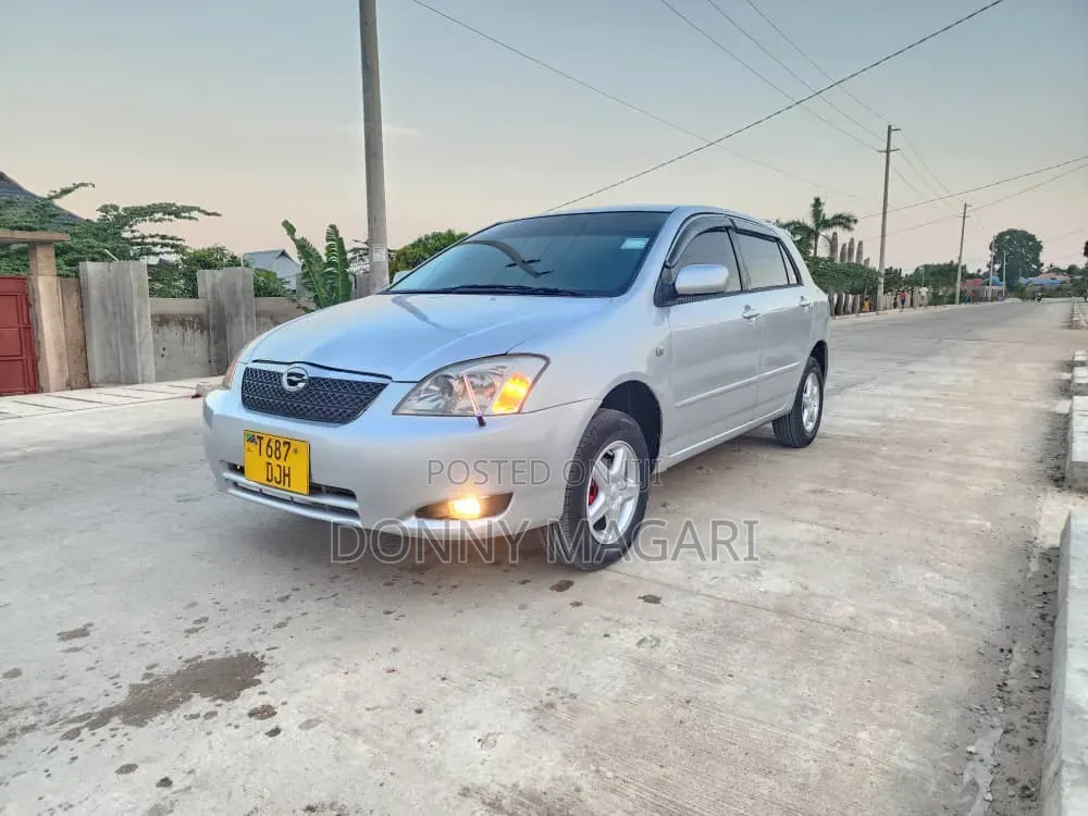 Toyota Corolla RunX 2005 Silver