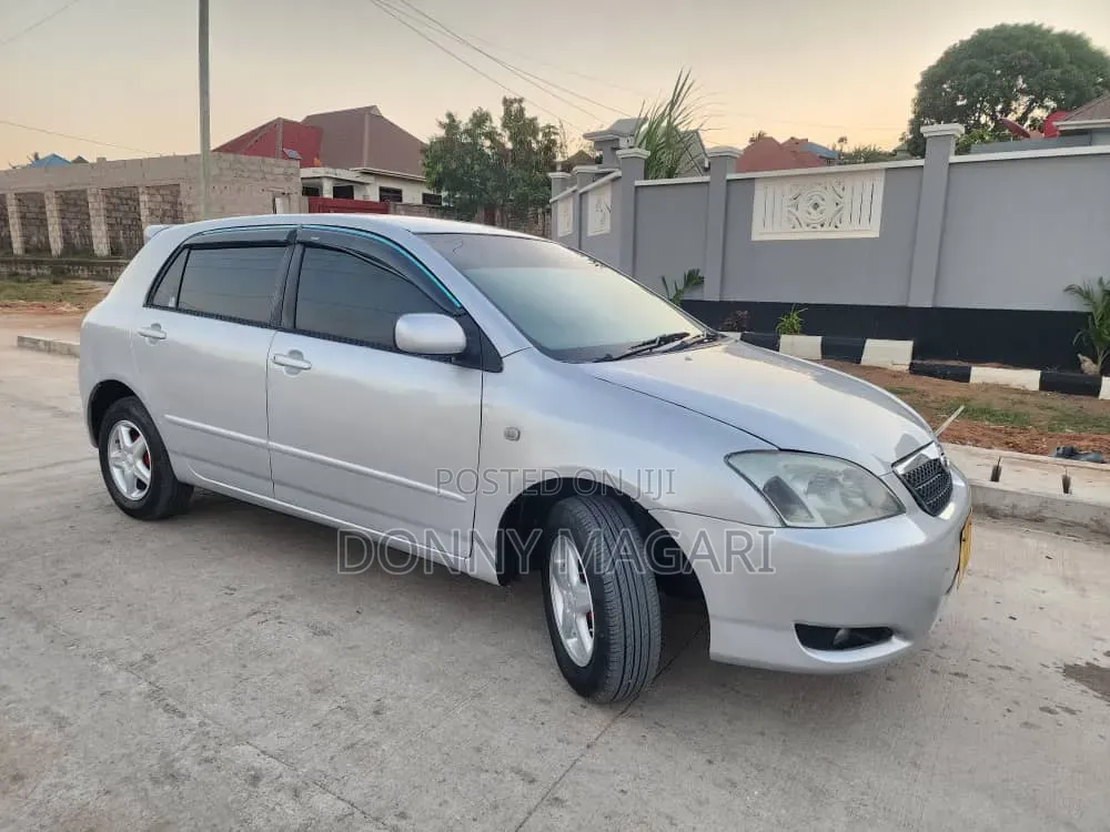 Toyota Corolla RunX 2005 Silver
