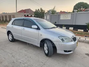 Toyota Corolla RunX 2005 Silver