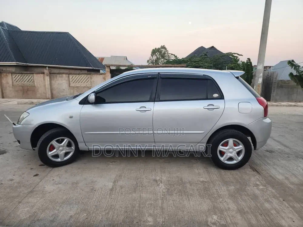 Toyota Corolla RunX 2005 Silver