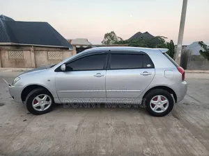 Toyota Corolla RunX 2005 Silver