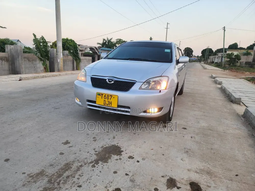 Toyota Corolla RunX 2005 Silver
