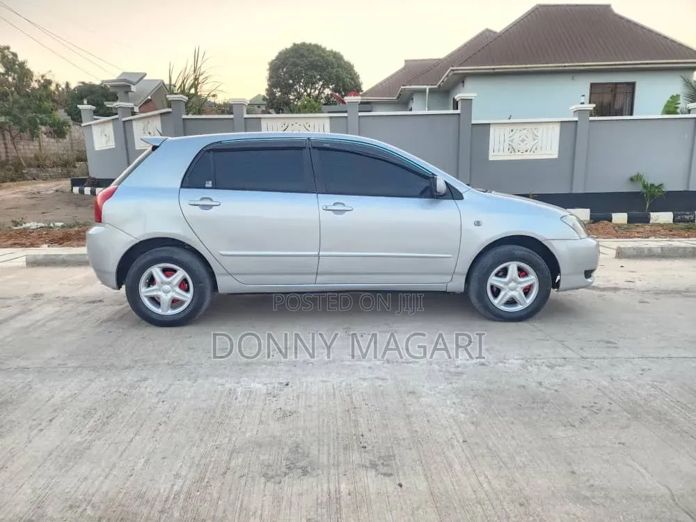 Toyota Corolla RunX 2005 Silver