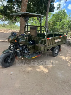 SINORAY SR-E1200 2025 Green