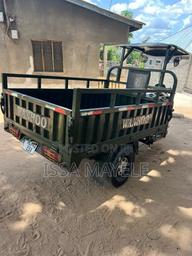 SINORAY SR-E1200 2025 Green