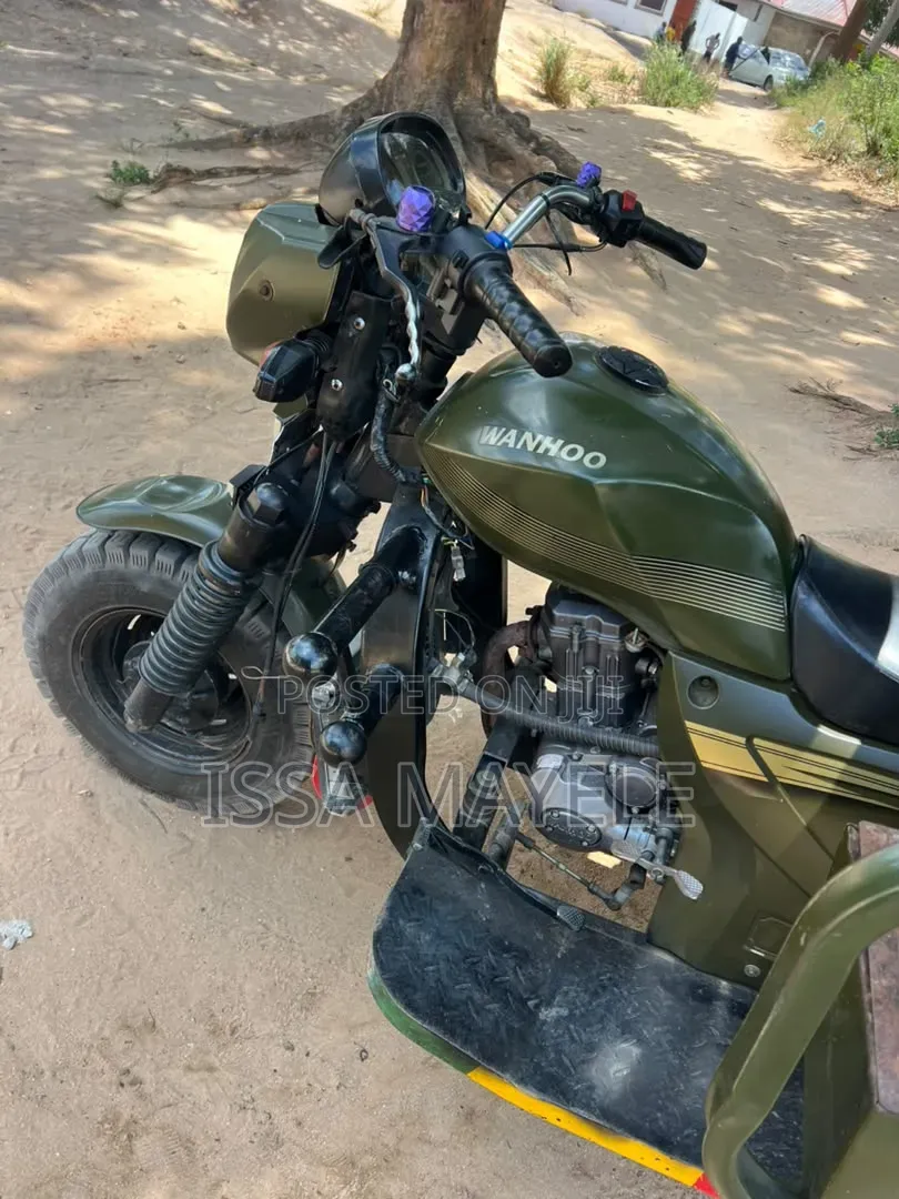 SINORAY SR-E1200 2025 Green