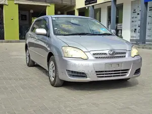 Toyota Allex 2005 Silver