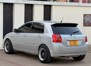 Toyota Corolla RunX 2004 Silver
