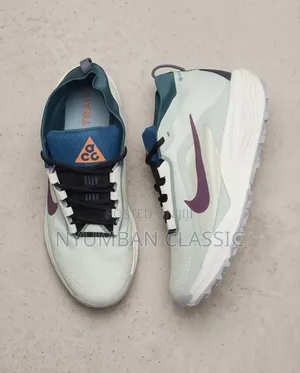 Nike Pegasus Trail Gore-Tex Shoes