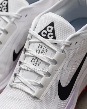 Nike Pegasus Trail Gore-Tex Shoes