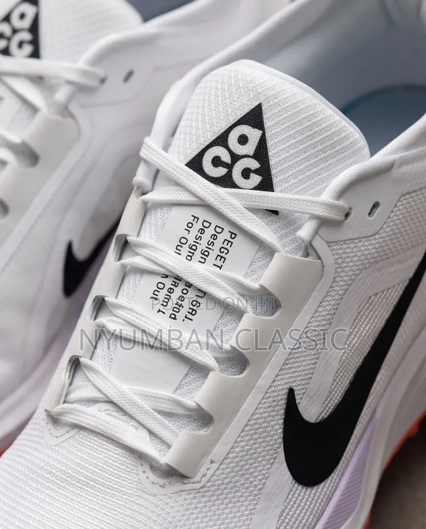 Nike Pegasus Trail Gore-Tex Shoes