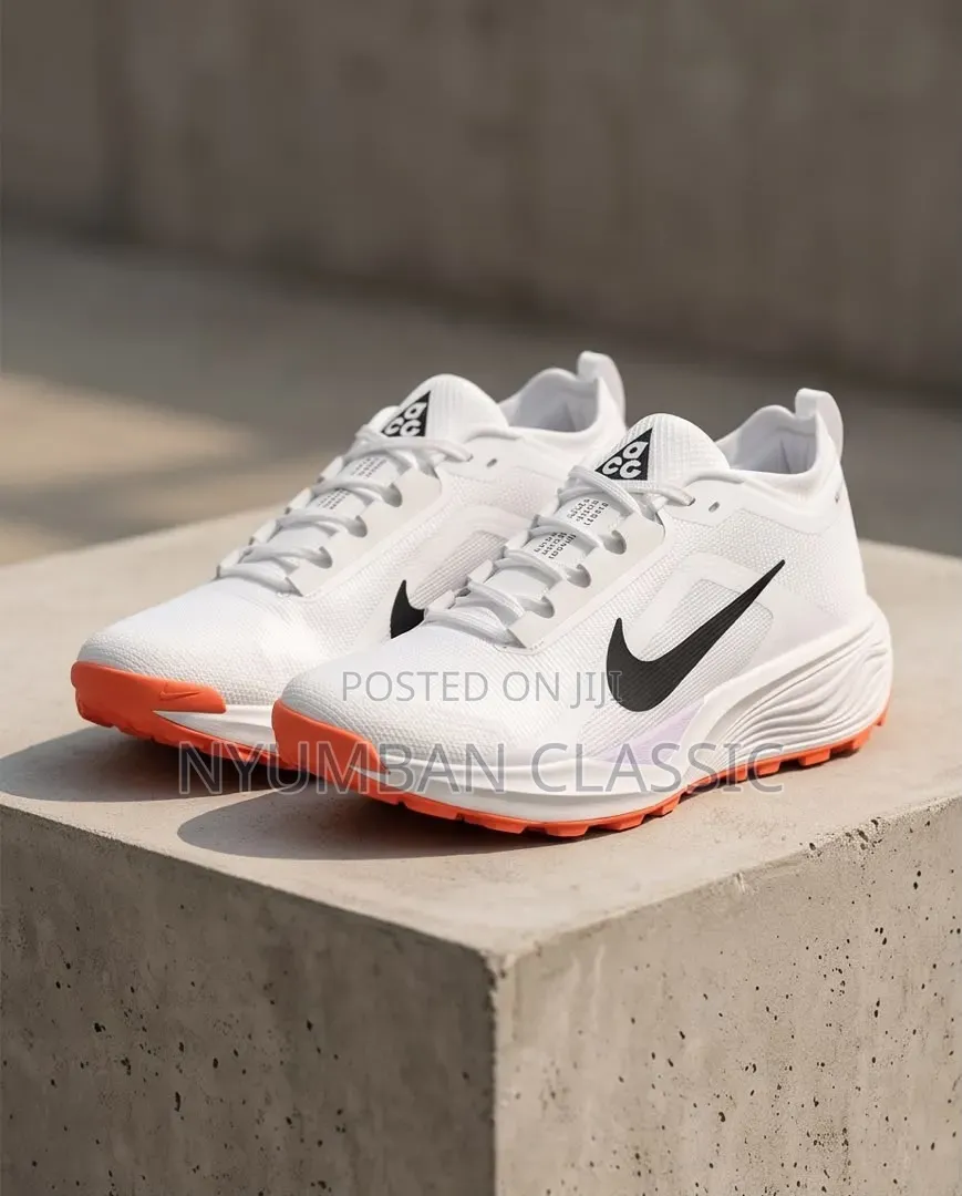Nike Pegasus Trail Gore-Tex Shoes