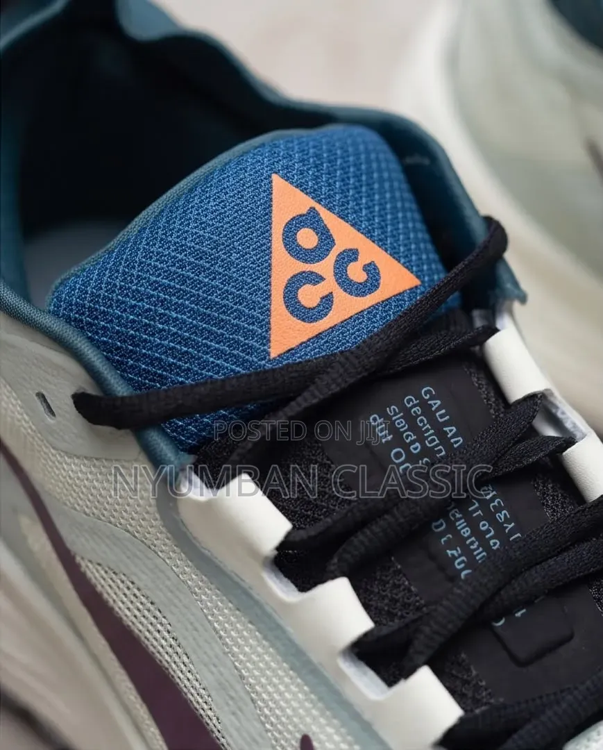Nike Pegasus Trail Gore-Tex Shoes