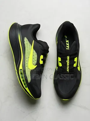 Nike Pegasus Plus 2 Shoes