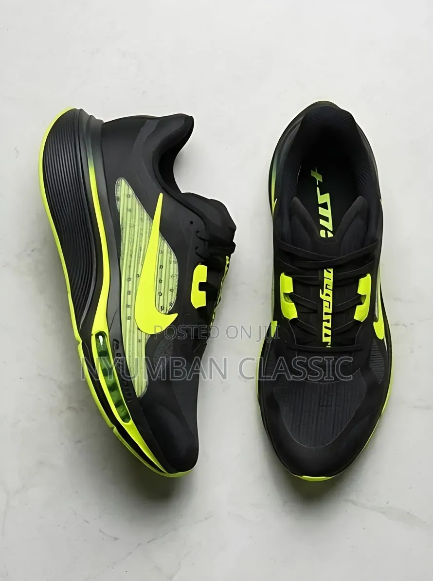 Nike Pegasus Plus 2 Shoes