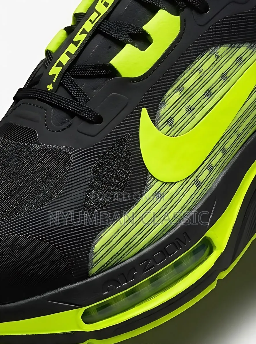 Nike Pegasus Plus 2 Shoes